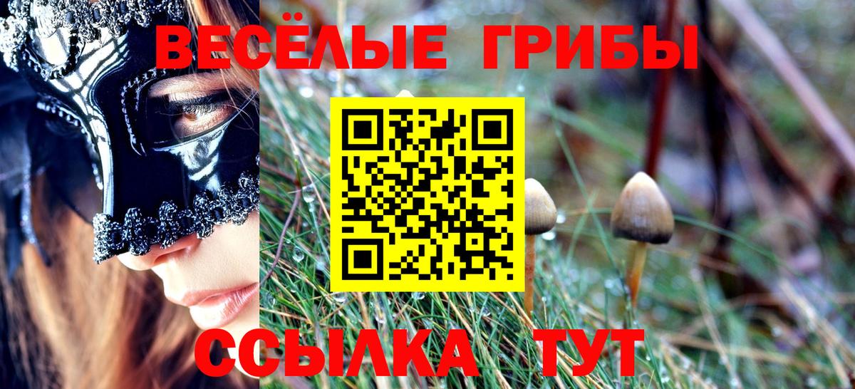 Псилоцибиновые грибы Psilocybine cubensis Шали