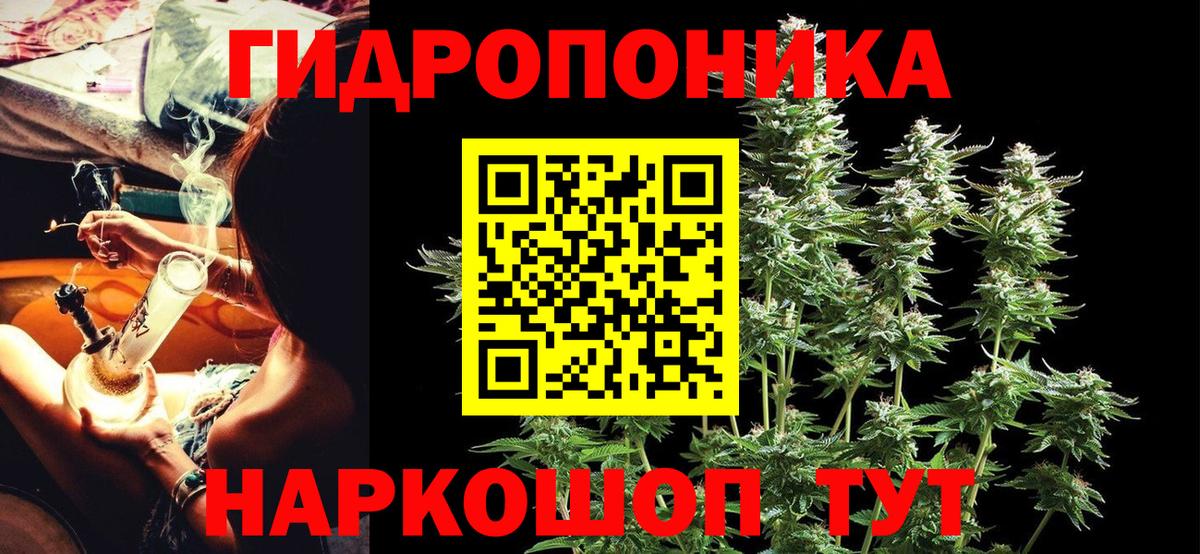 Шишки марихуана OG Kush Шали